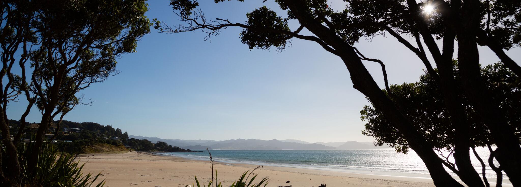 Kūaotunu - our happy place