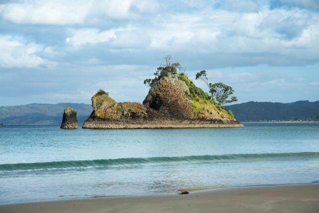 pungapunga island whangapoua