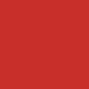 Pōhutukawa Coast - AS Colour Kids Supply Hoodie Design