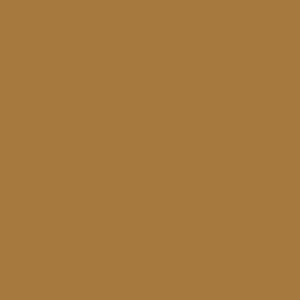 Swanson - AS Colour Mens Staple T shirt Design