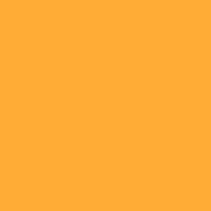 Waitākere - Bush + Sky - AS Colour Kids Youth T shirt Design