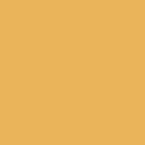 Waiatarua - AS Colour Womens Maple Tee Design