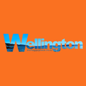 Wellington Blue - AS Colour Kids Youth T shirt Design