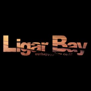 Ligar Bay - AS Colour Kids Supply Hoodie Design
