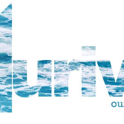 Muriwai Gannets Thumbnail