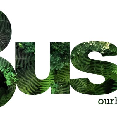 Bush our happy place Thumbnail